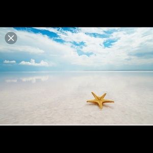 Meet your Posher, Cynthia